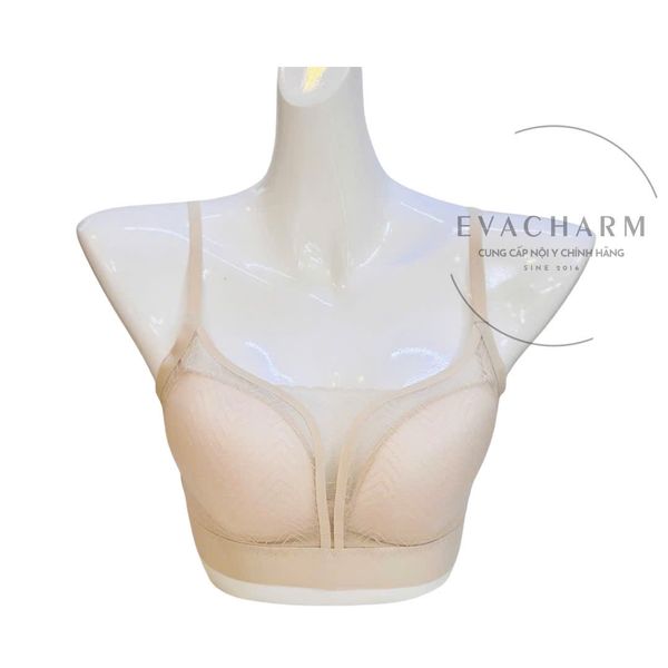  Áo bra không gọng bảng to có mút đệm mỏng 