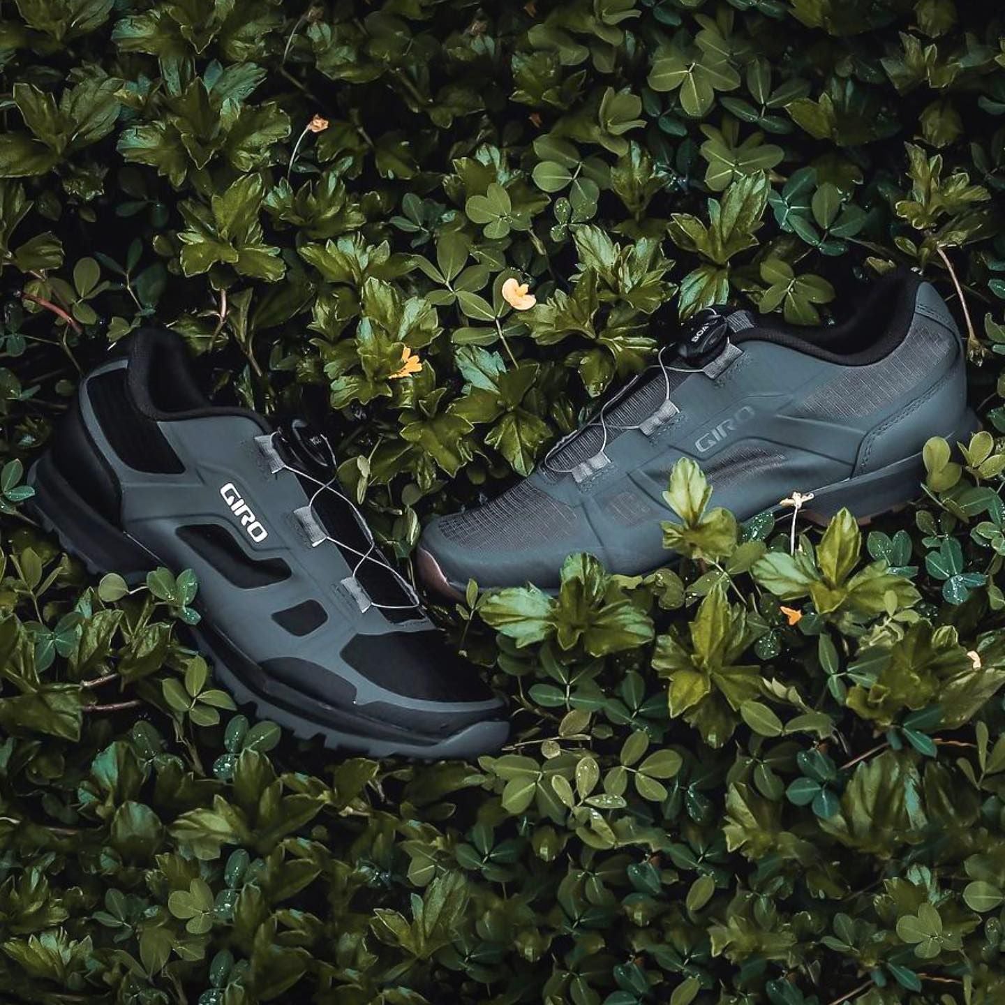 Giày Cá Xe Địa Hình GIRO Gauge BOA