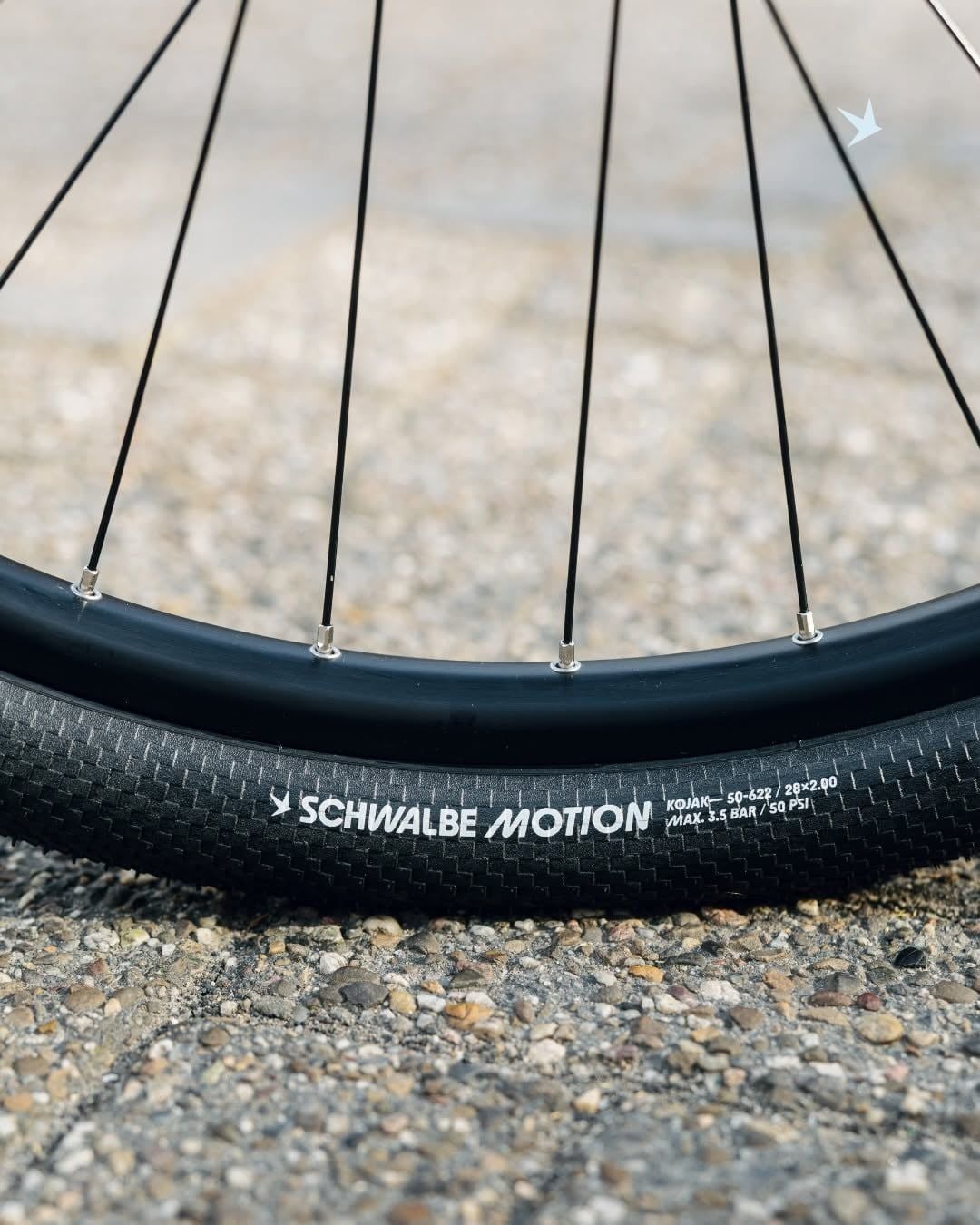 Lốp (Vỏ) Xe Đạp SCHWALBE Motion Kojak