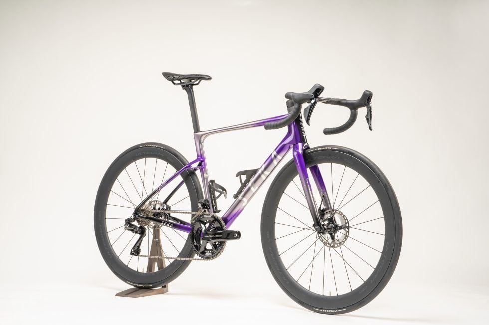 Khung Xe Đạp Đua SEKA Spear RDC Frameset