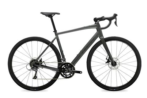 Domane AL 2 Gen 4