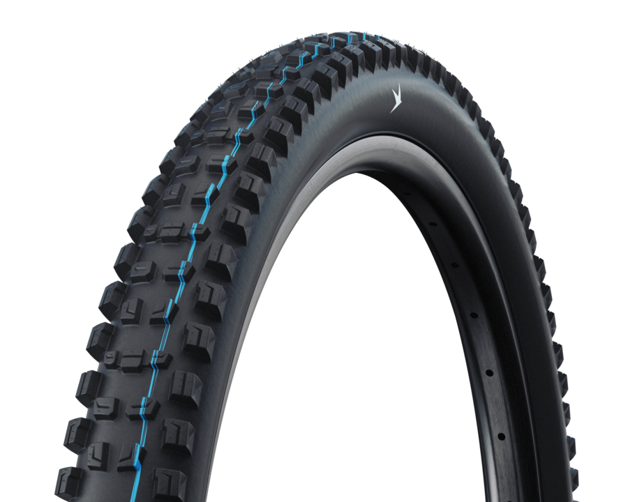 Lốp (Vỏ) Xe Đạp Schwalbe Race Pro Romy