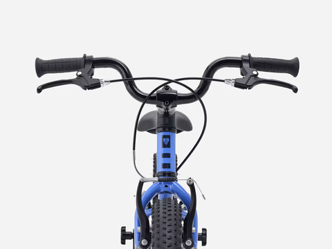 Xe Đạp Trẻ Em TREK Precaliber 16 Inch Freewheel