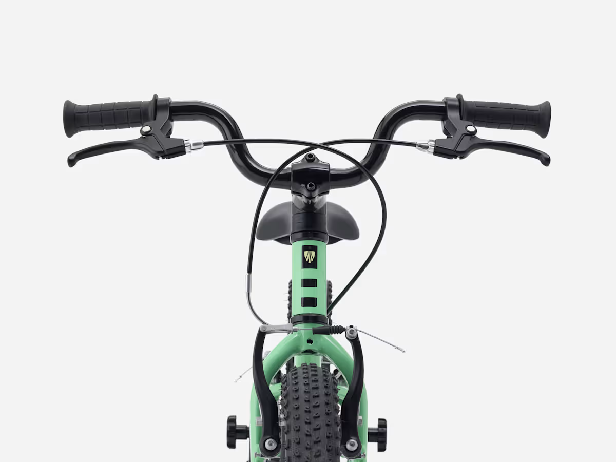 Xe Đạp Trẻ Em TREK Precaliber 16 Inch Freewheel