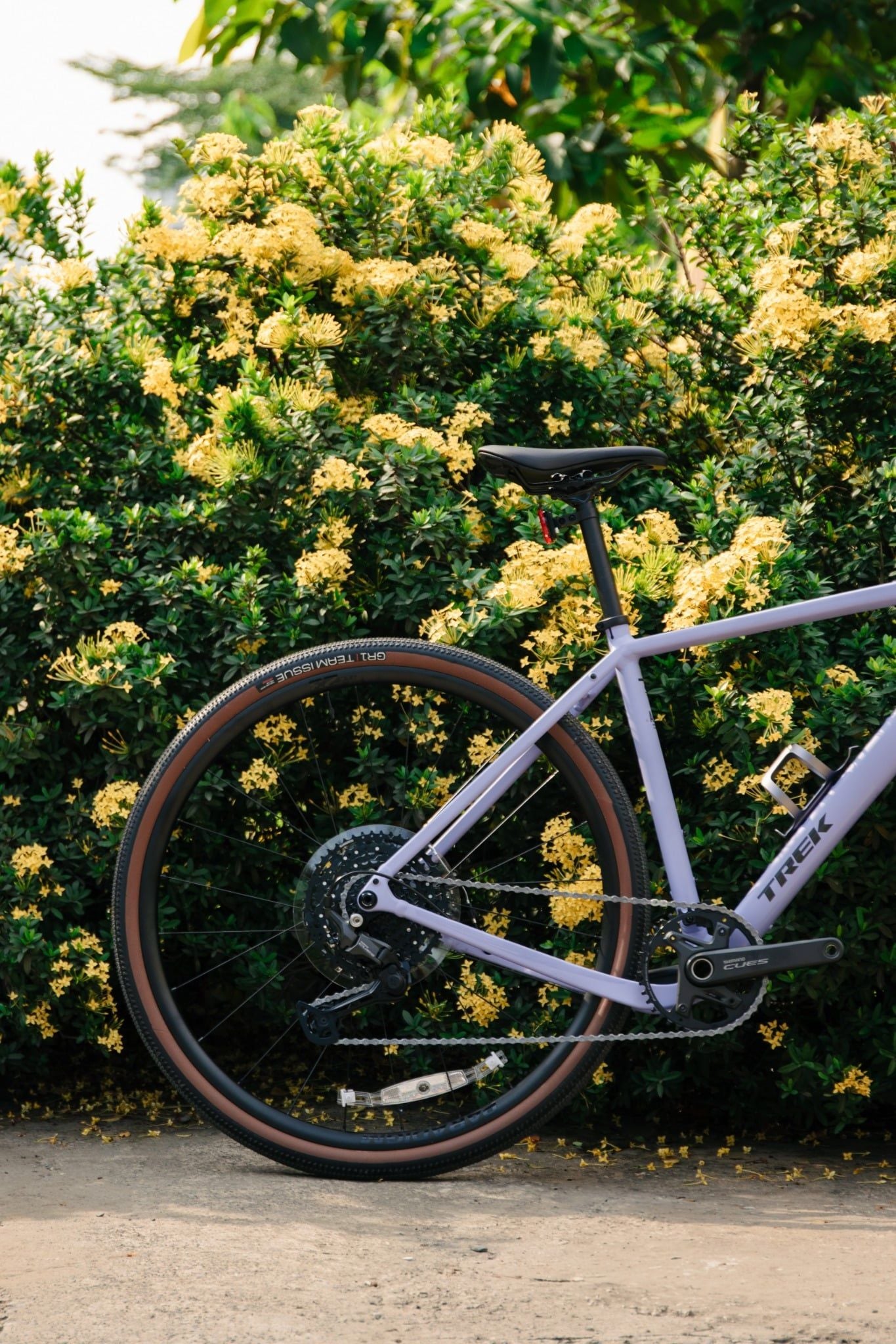 Xe Đạp Gravel/ Touring TREK Checkpoint ALR 3 Gen 3