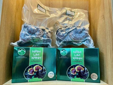Nấm Lim Xanh Linasa (nguyên cây) - 1kg