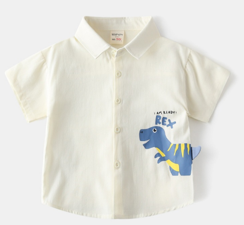  AO202510- Áo sơ mi 