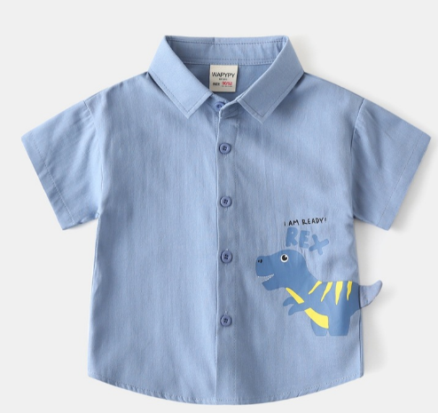  AO202510- Áo sơ mi 