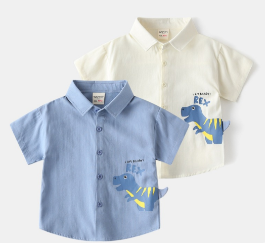  AO202510- Áo sơ mi 