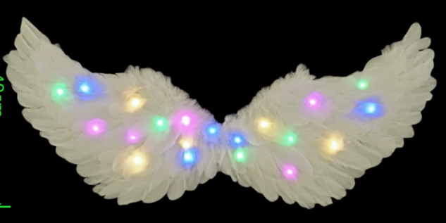  NOEN2606- Cánh thiên thần 