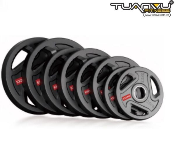 Đĩa tạ gang phủ sơn, dia ta gang phu son