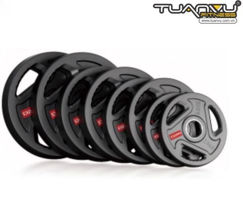 Đĩa tạ gang phủ sơn, dia ta gang phu son