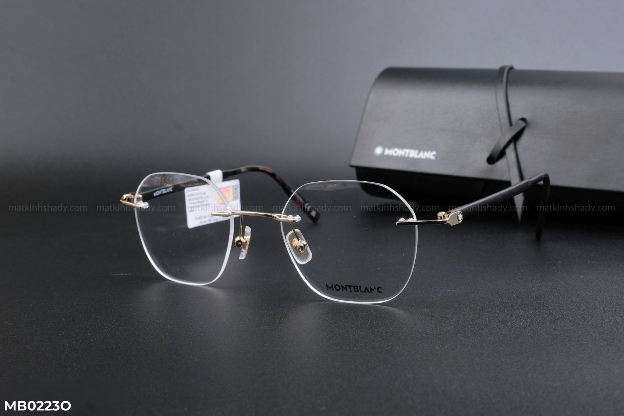  Montblanc Eyewear - Glasses - MB0223O 