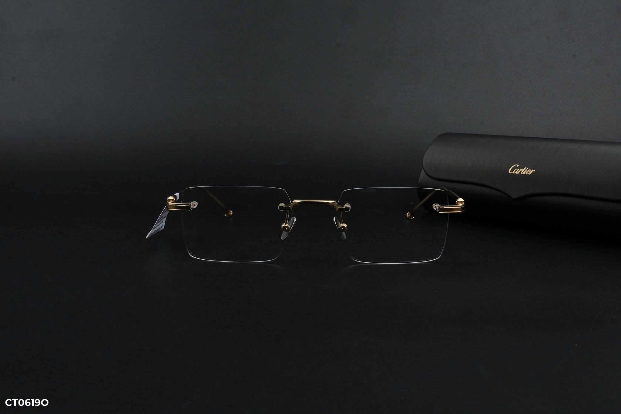  Cartier Eyewear - Glasses - CT0619O 