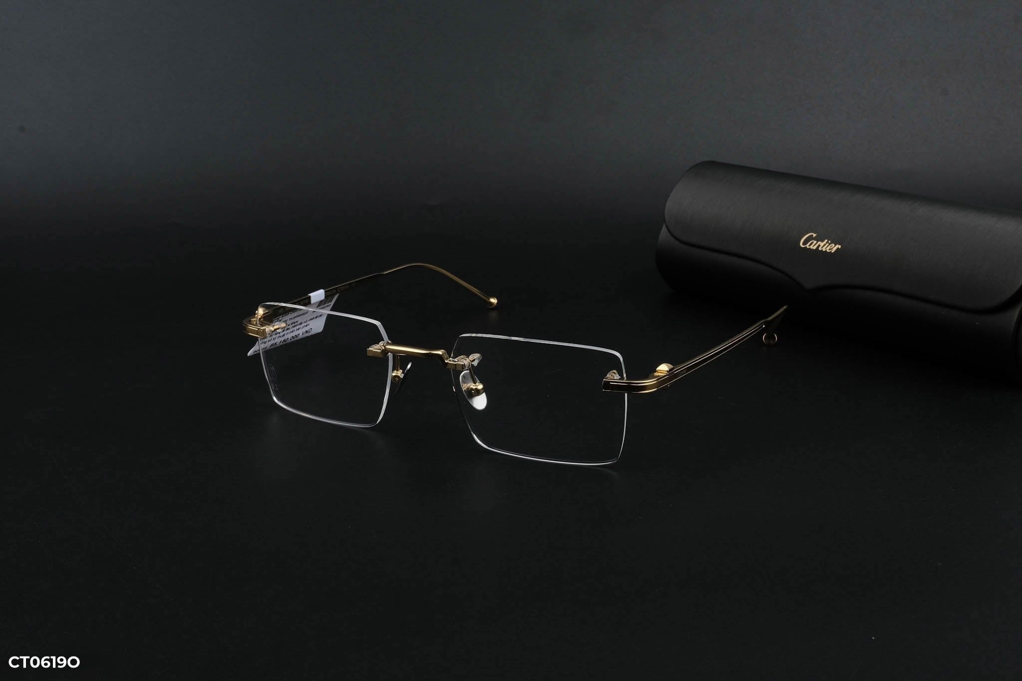  Cartier Eyewear - Glasses - CT0619O 