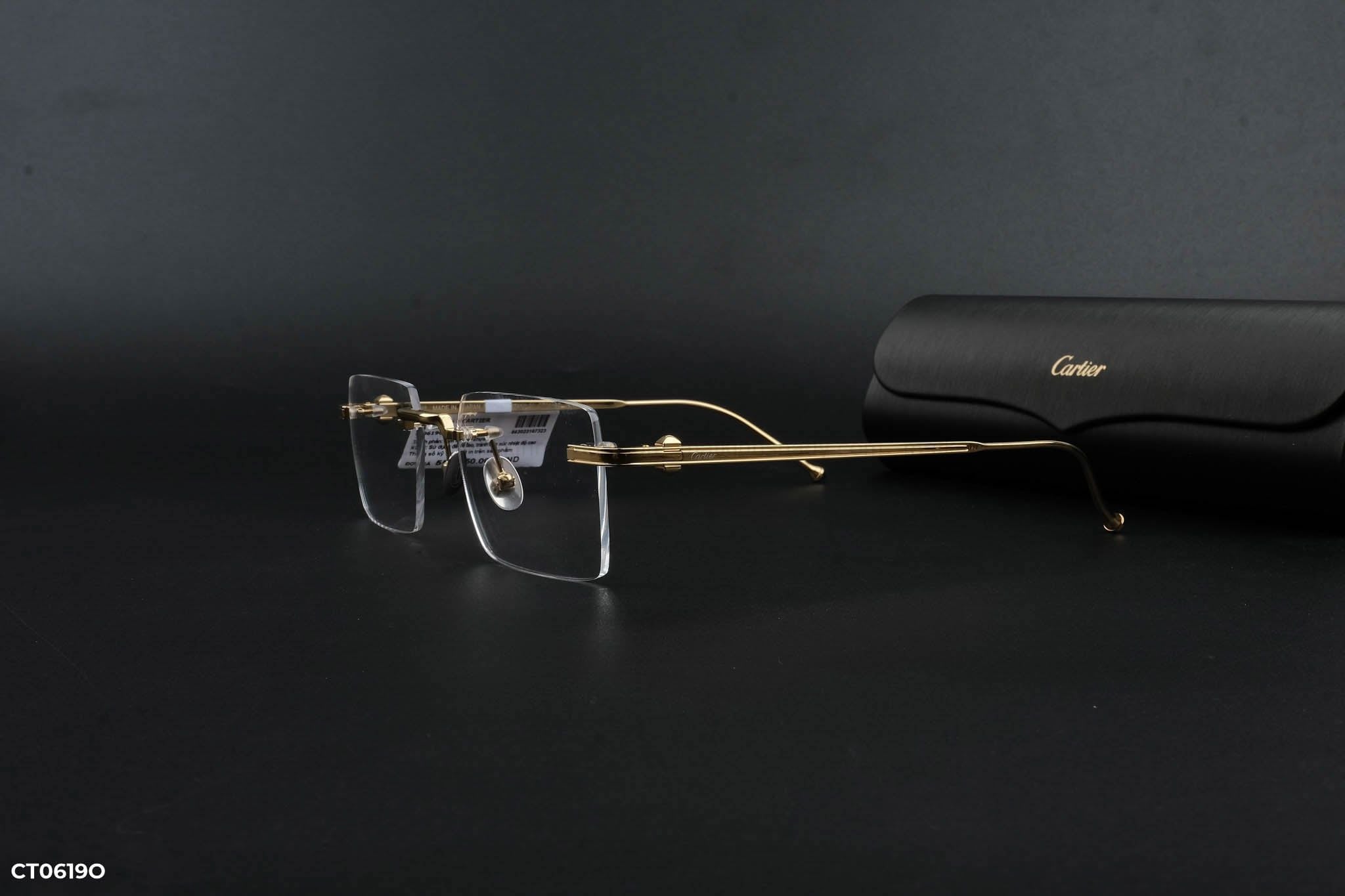  Cartier Eyewear - Glasses - CT0619O 