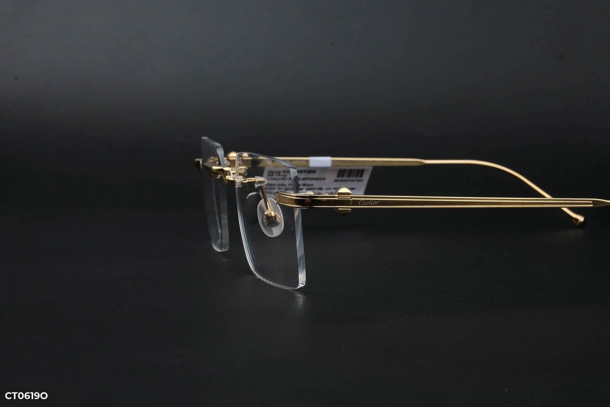  Cartier Eyewear - Glasses - CT0619O 