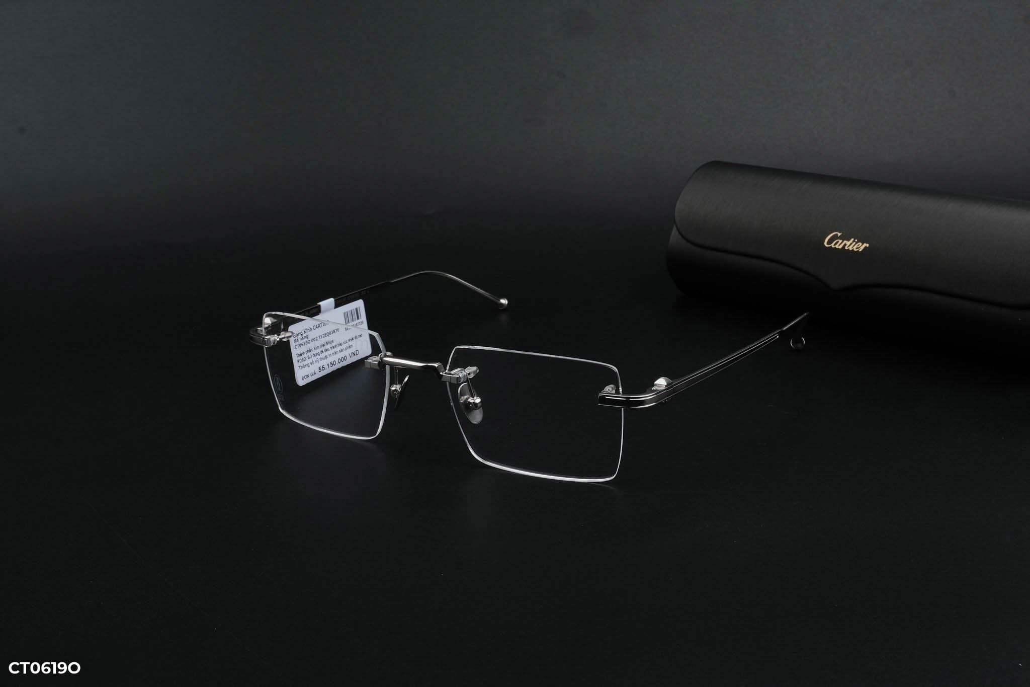  Cartier Eyewear - Glasses - CT0619O 