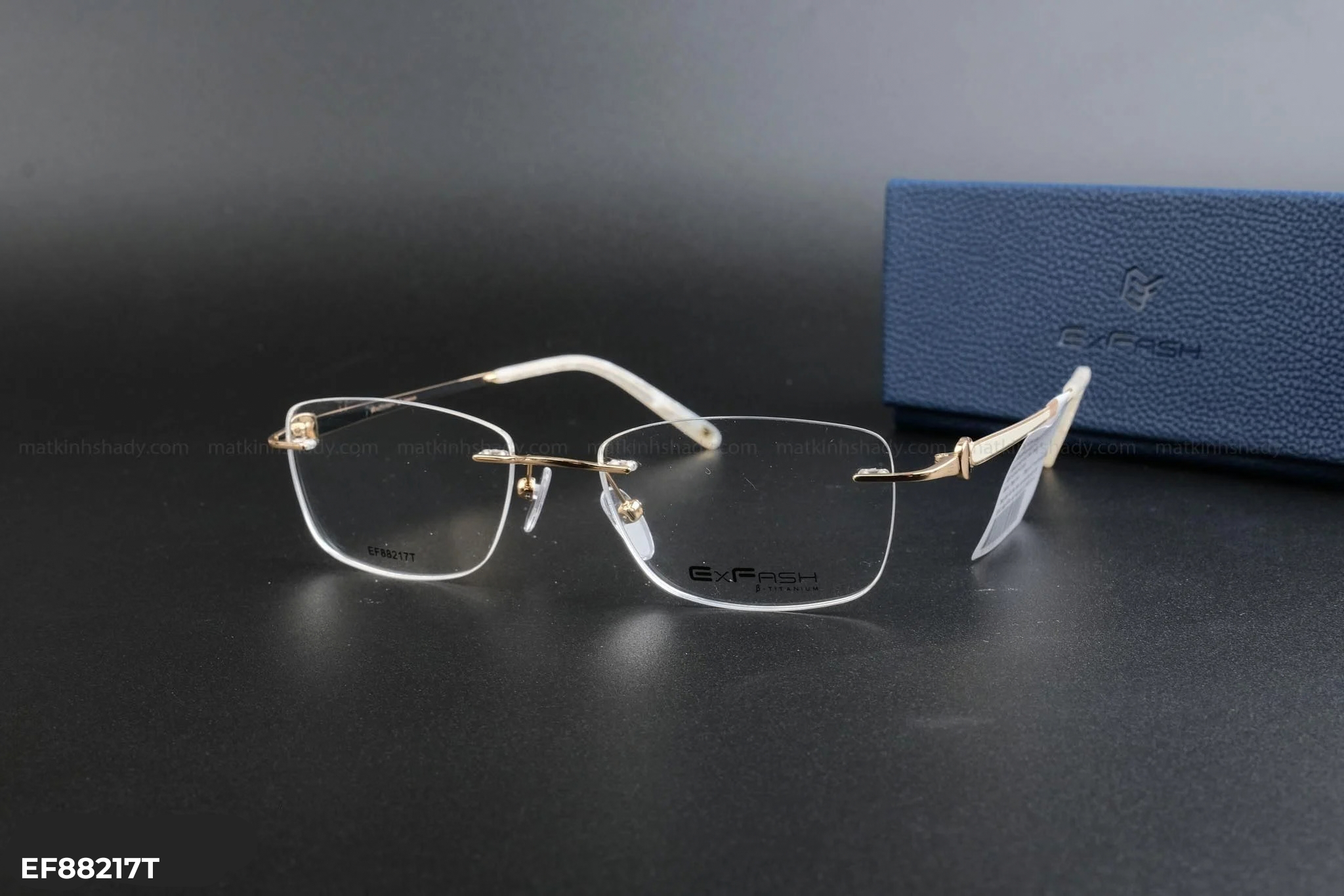  Exfash Eyewear - Glasses - EF88217T 