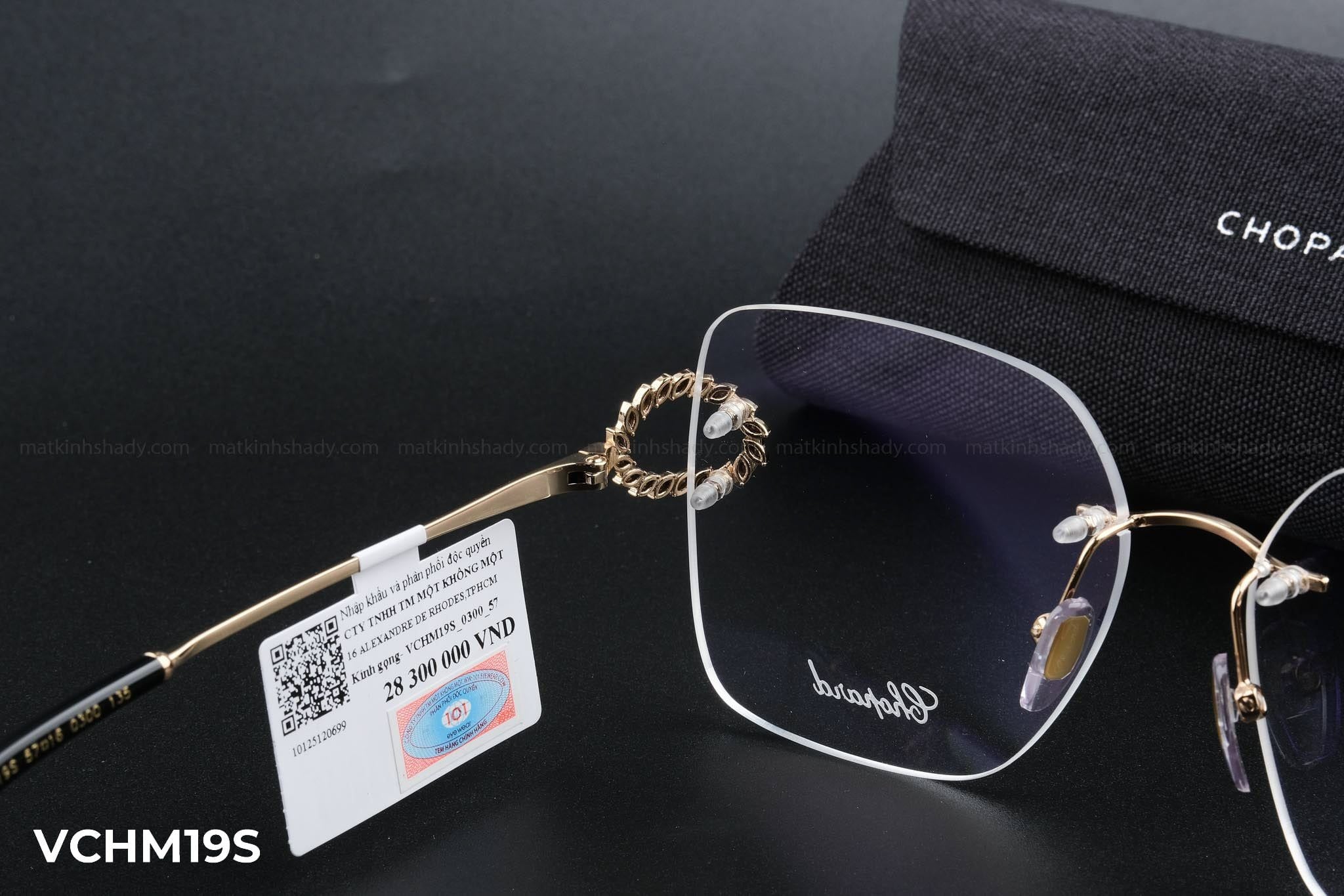  Chopard Eyewear - Glasses - VCHM19S 