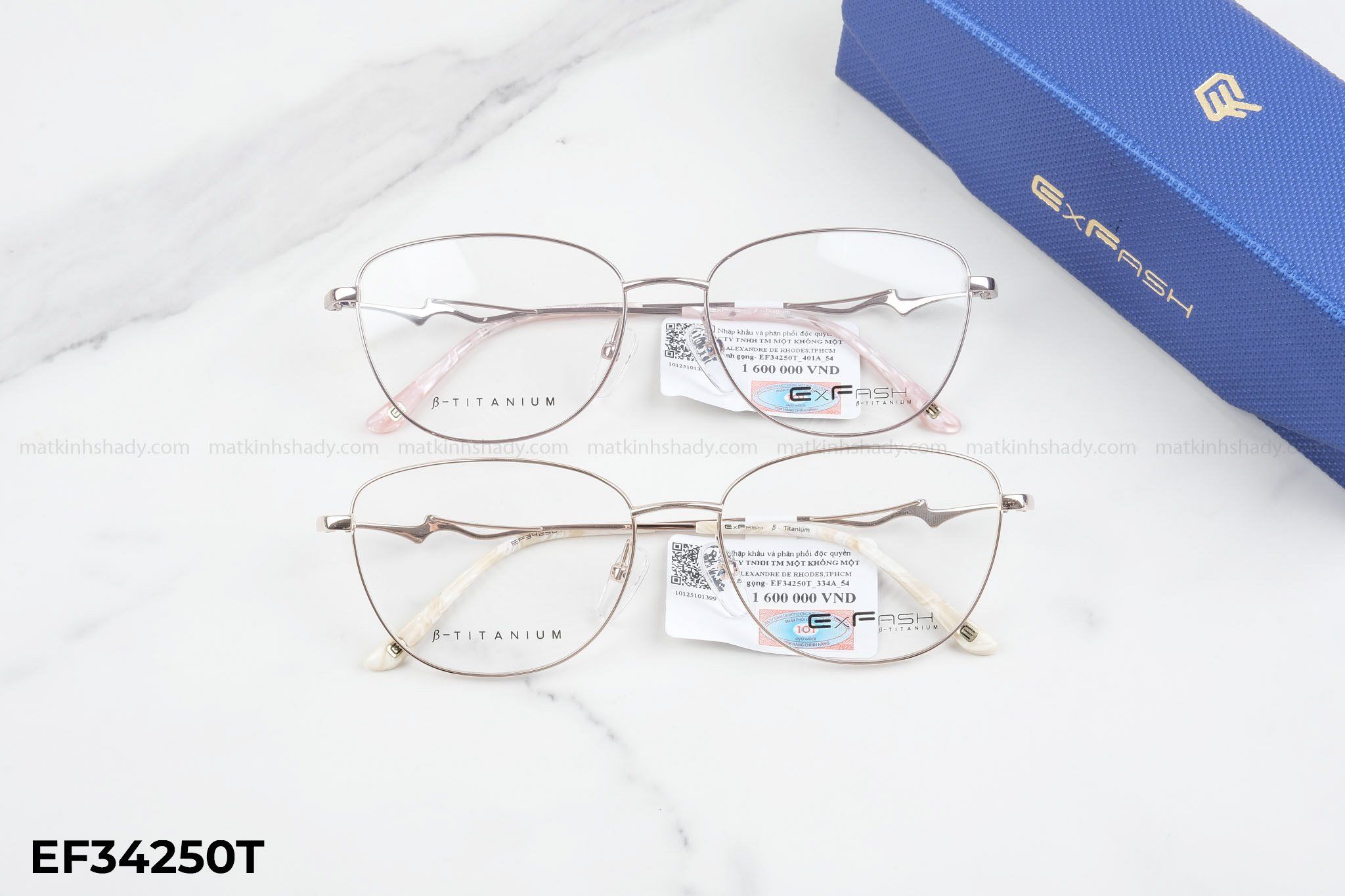  Exfash Eyewear - Glasses - EF34250T 