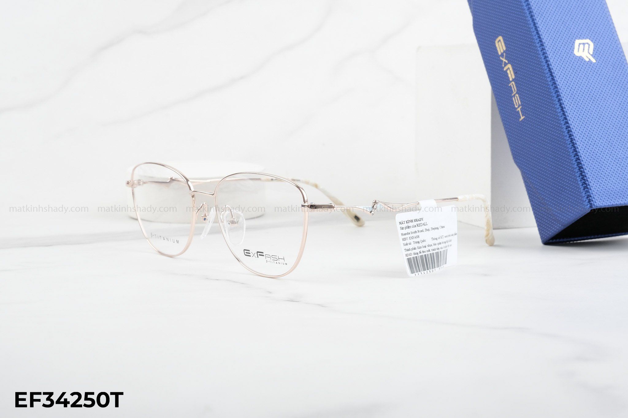  Exfash Eyewear - Glasses - EF34250T 