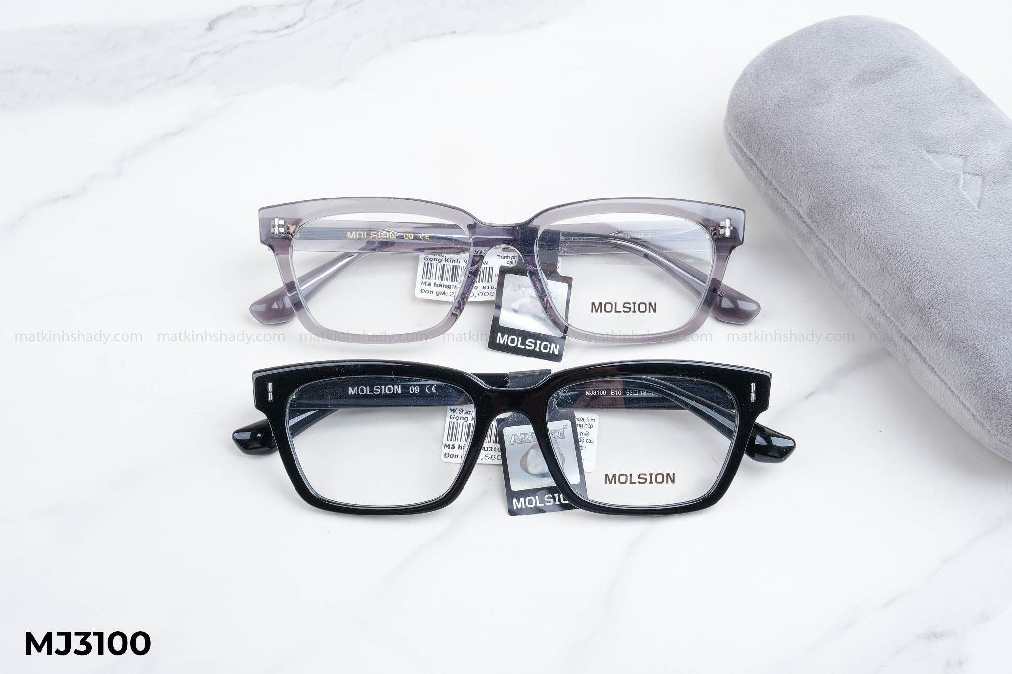  Molsion Eyewear - Glasses - MJ3100 