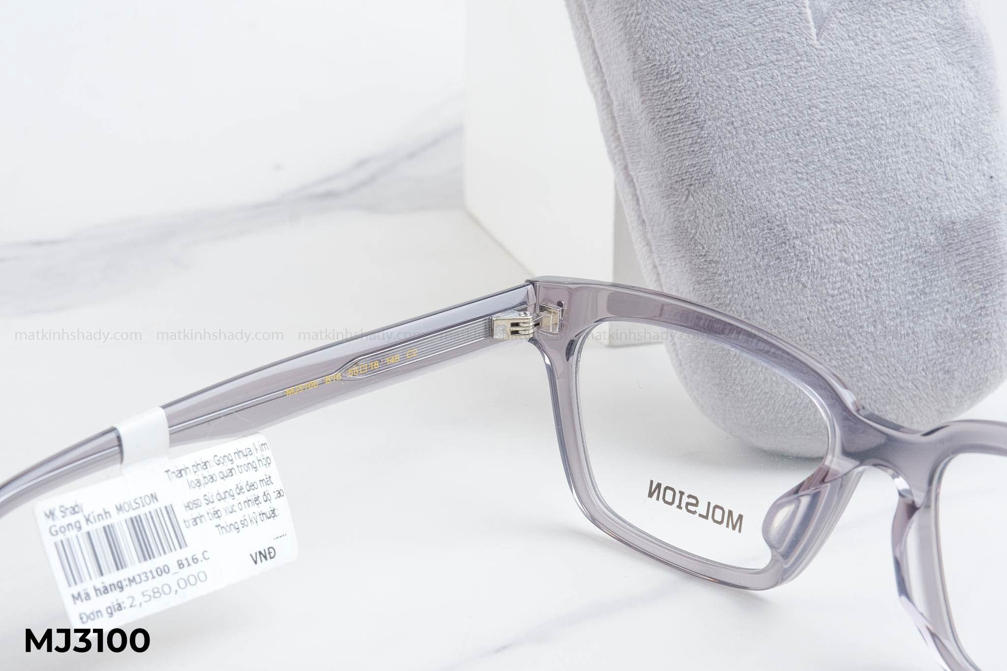  Molsion Eyewear - Glasses - MJ3100 
