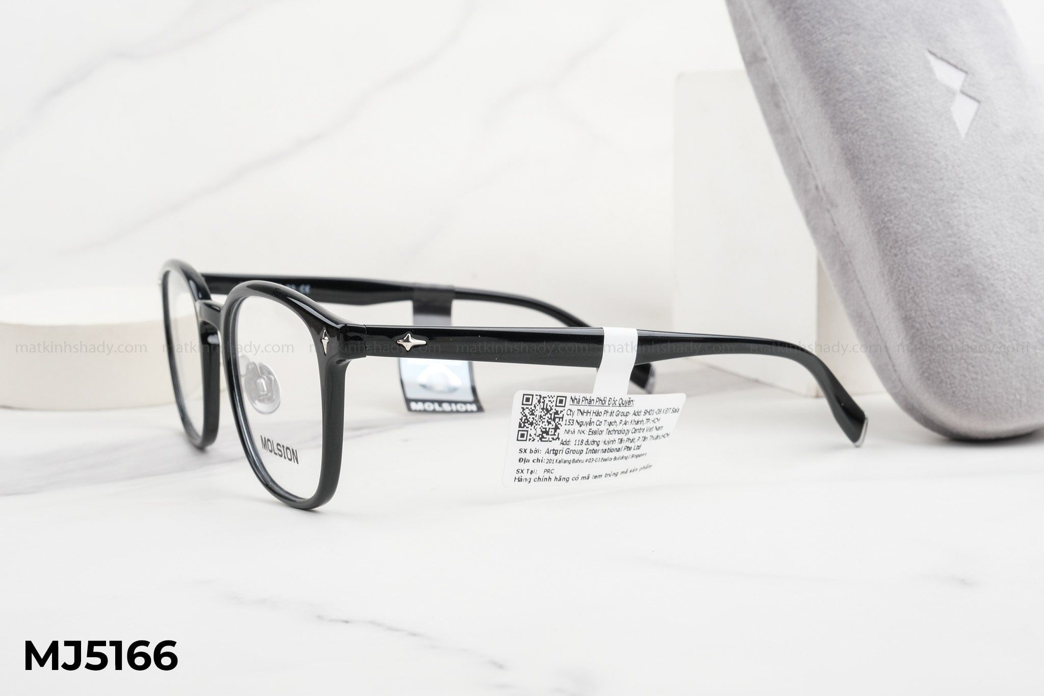  Molsion Eyewear - Glasses - MJ5166 