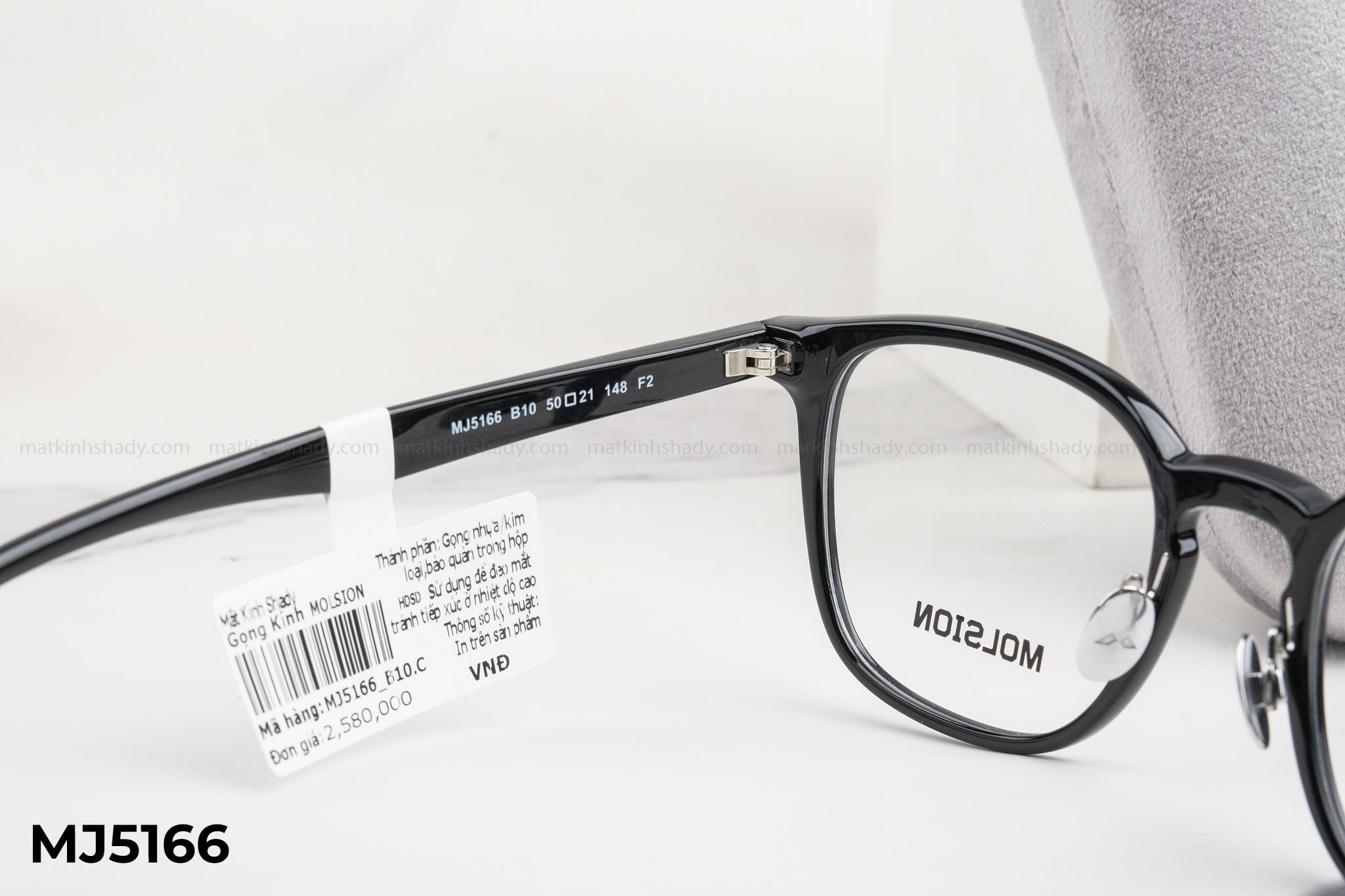  Molsion Eyewear - Glasses - MJ5166 