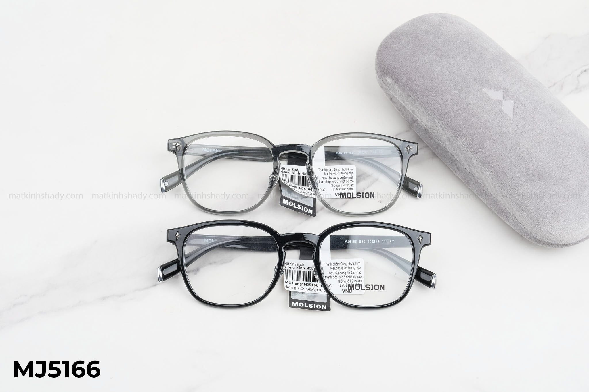  Molsion Eyewear - Glasses - MJ5166 