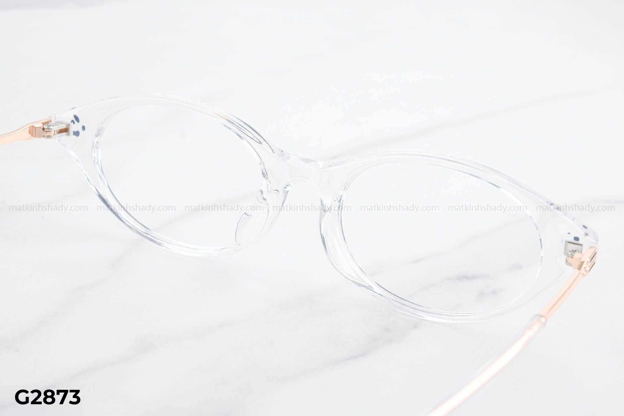  Gọng Kính G2873 