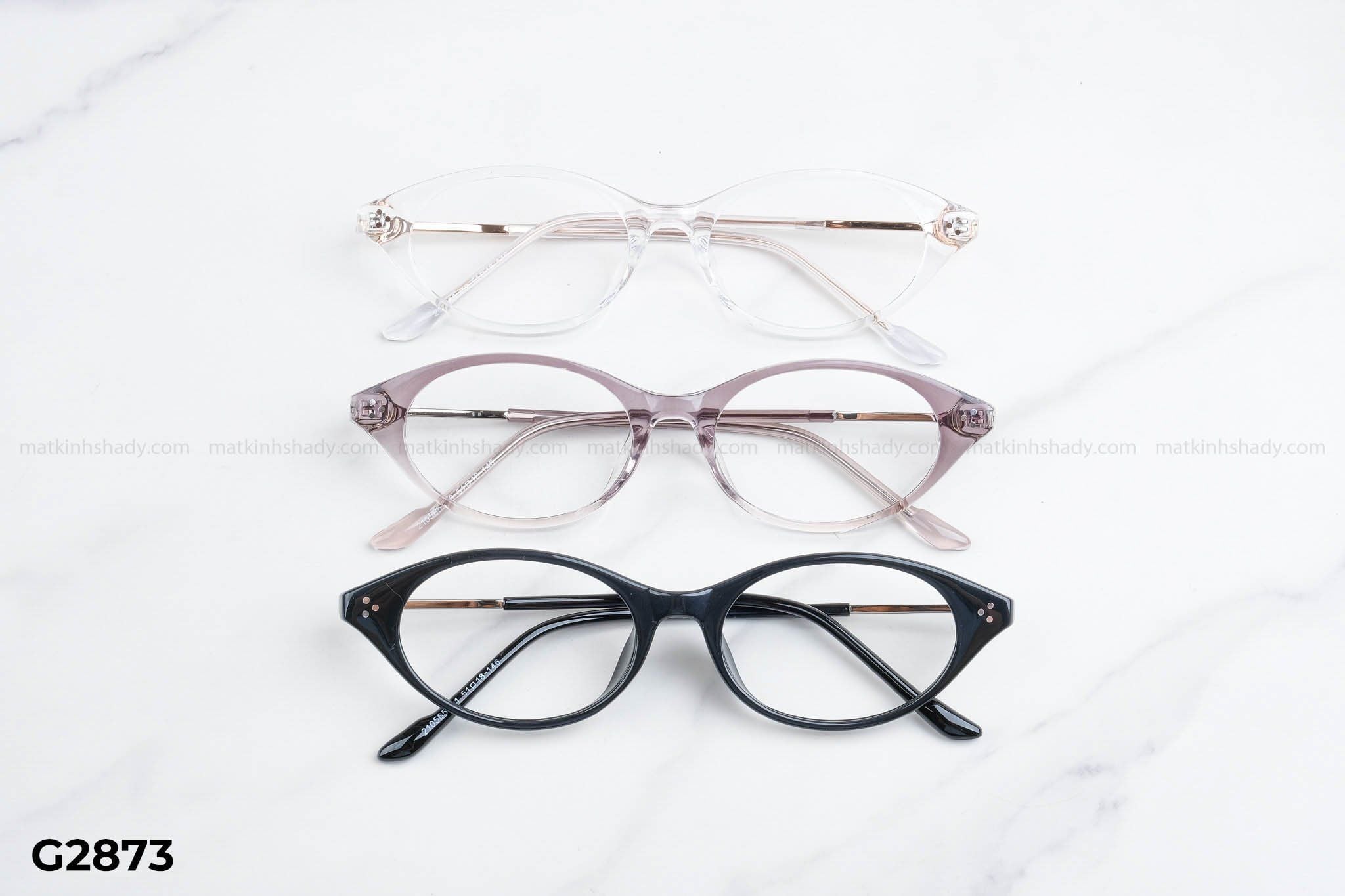  Gọng Kính G2873 