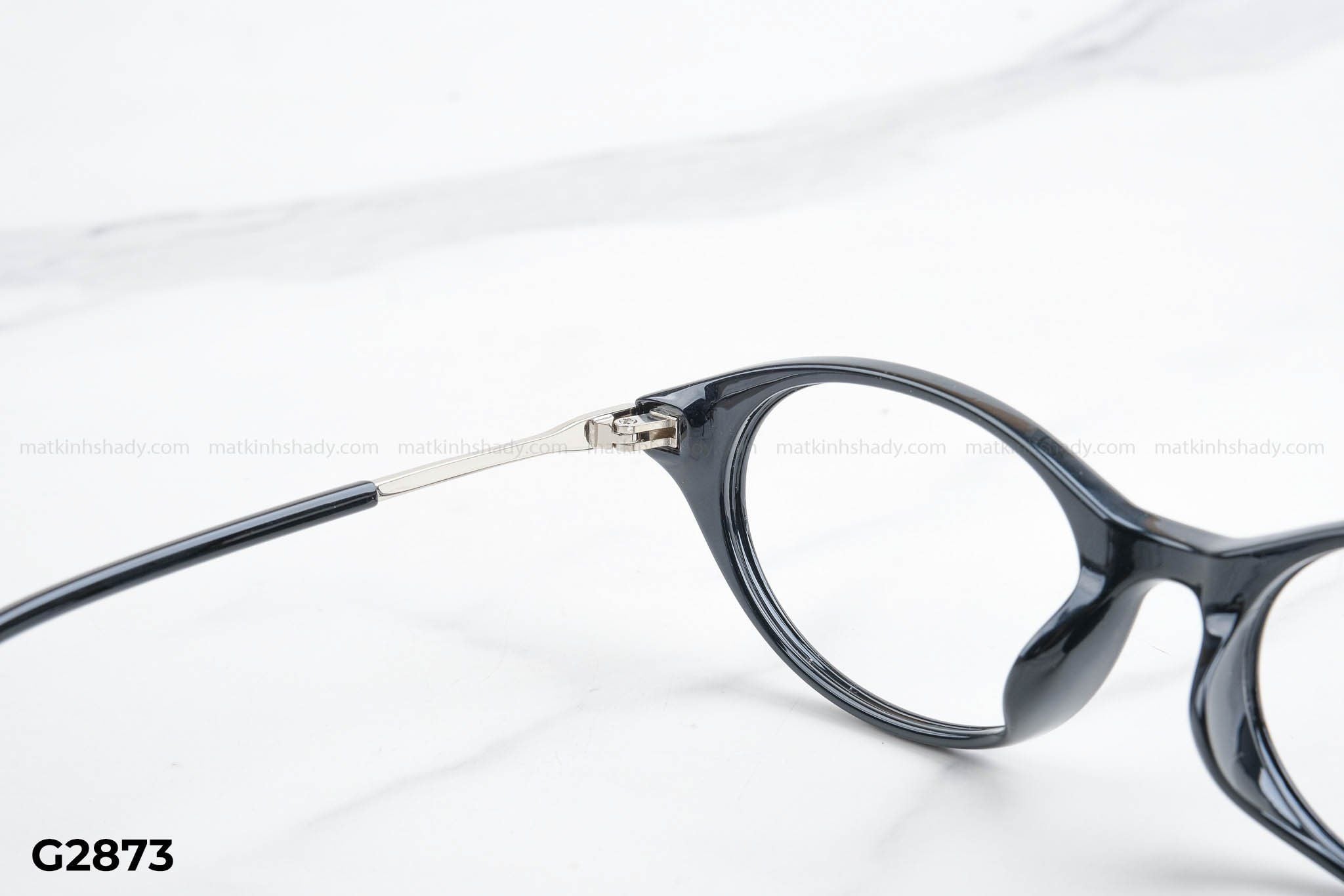  Gọng Kính G2873 