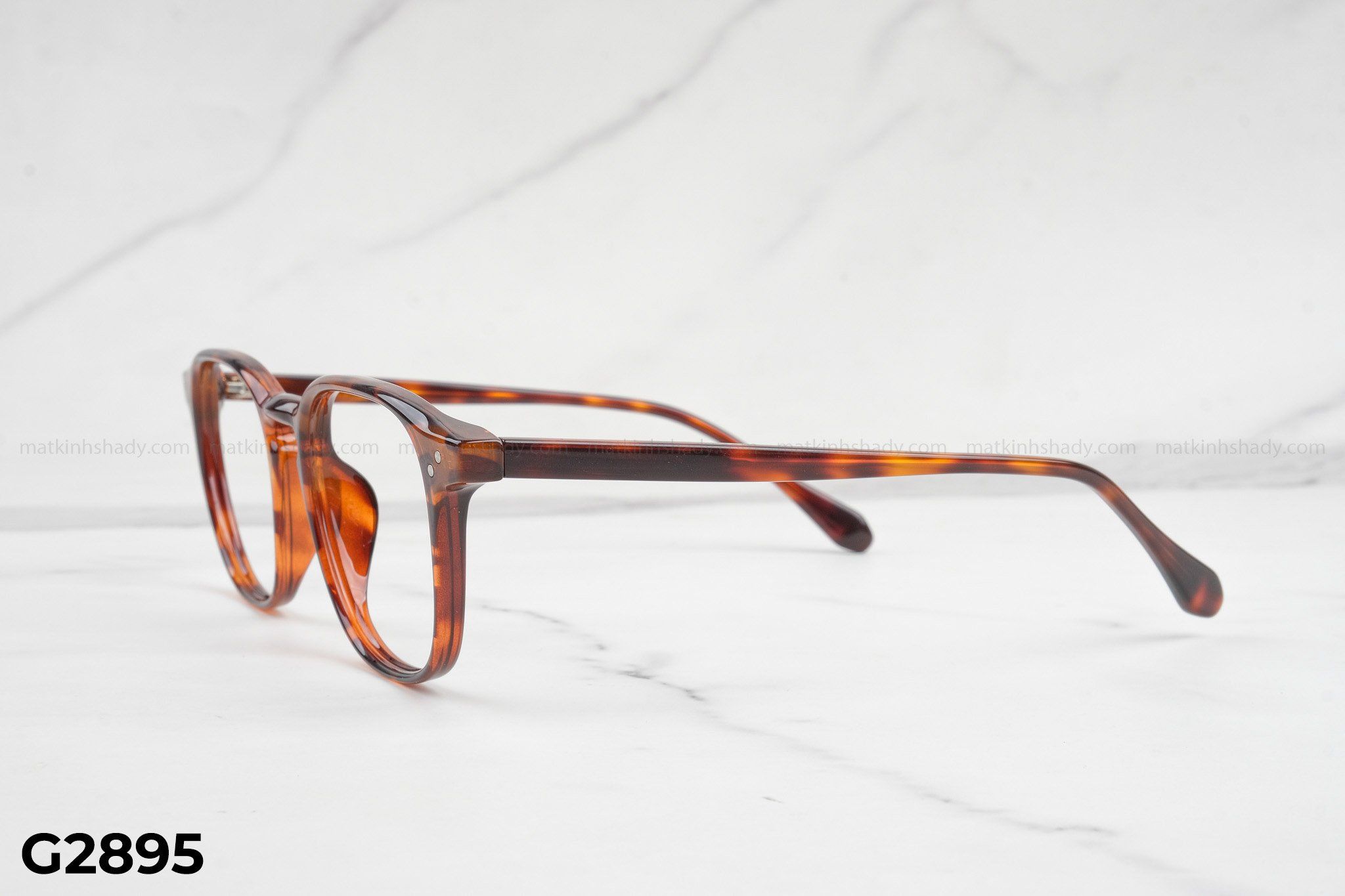  Gọng Kính G2895 