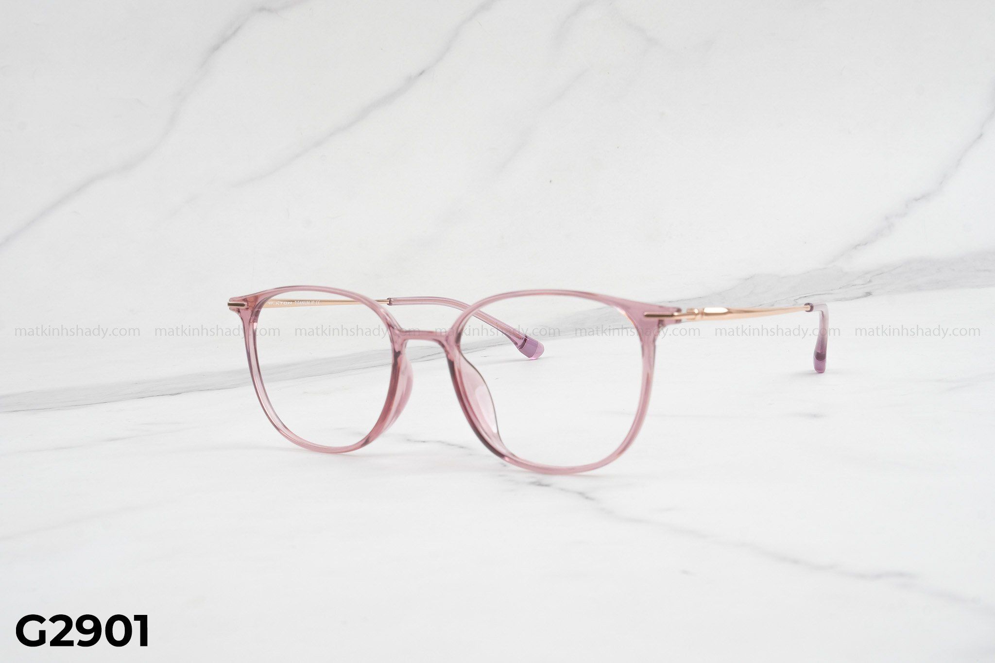  Gọng Kính G2901 