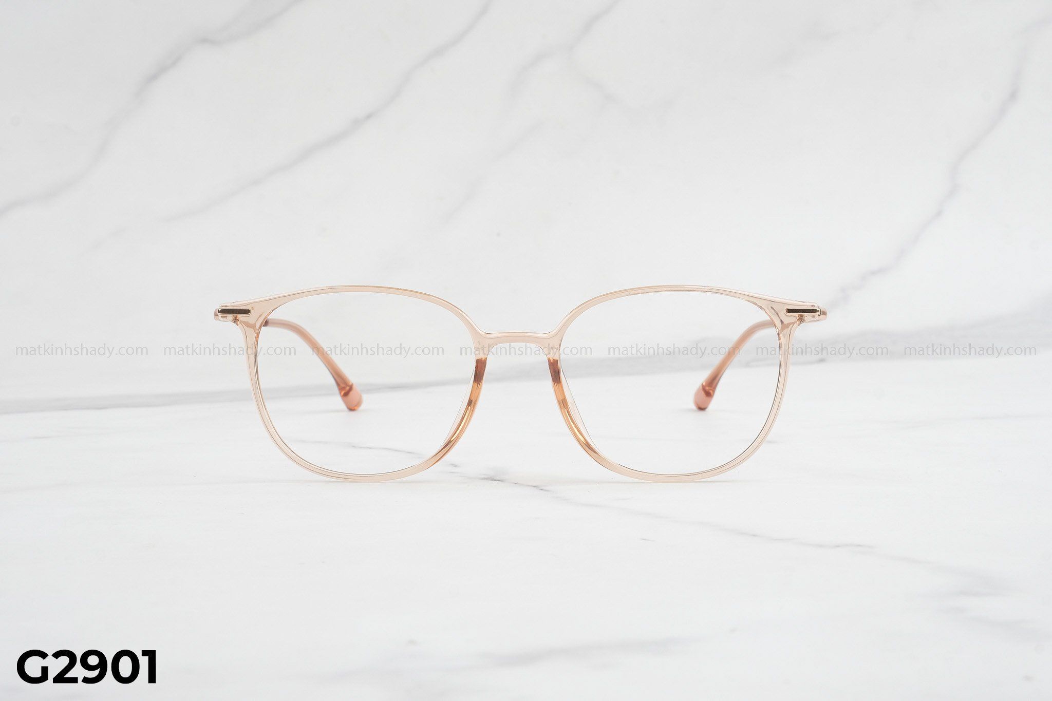  Gọng Kính G2901 
