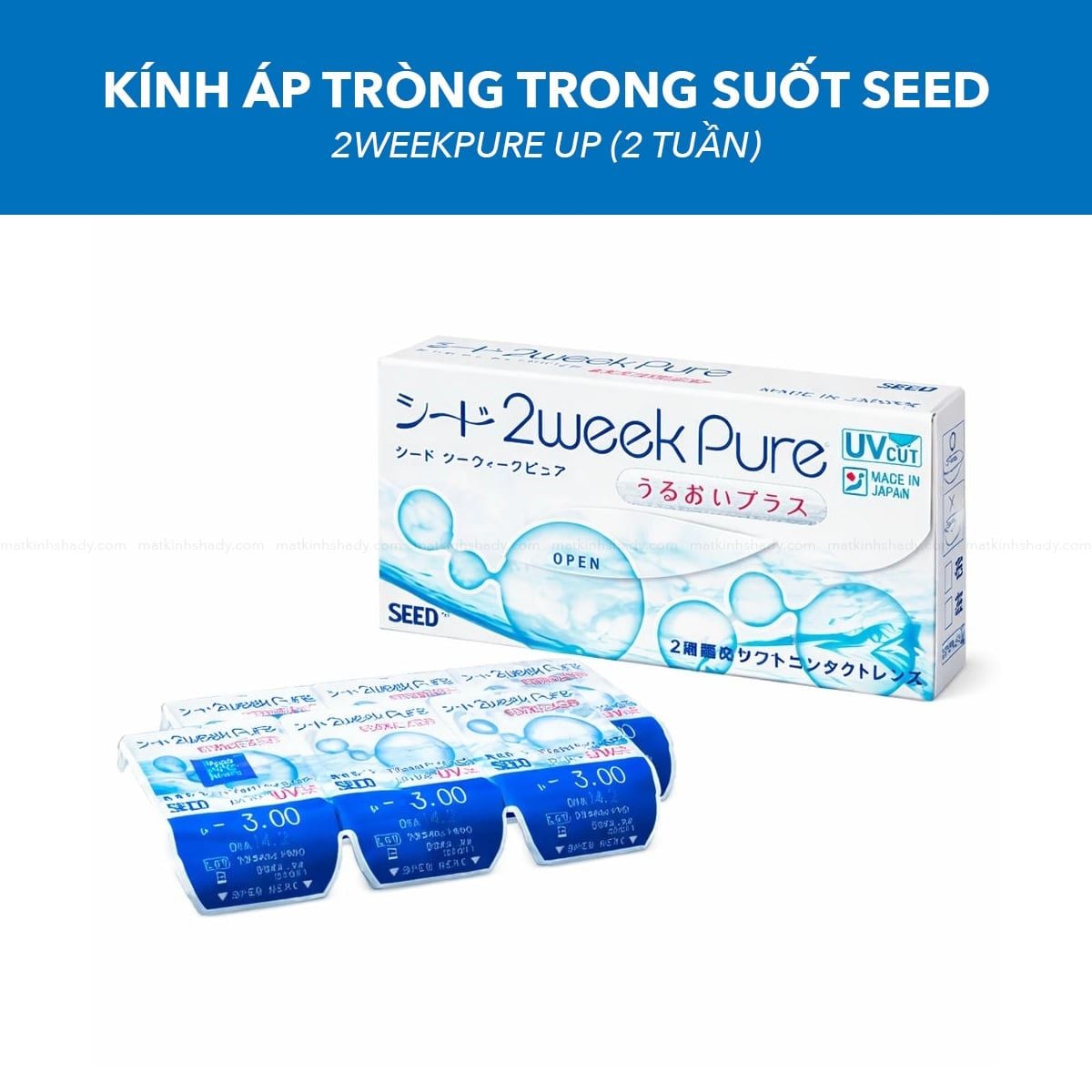  Kính Áp Tròng Trong Suốt SEED 2weekPure UP (2 Tuần) 
