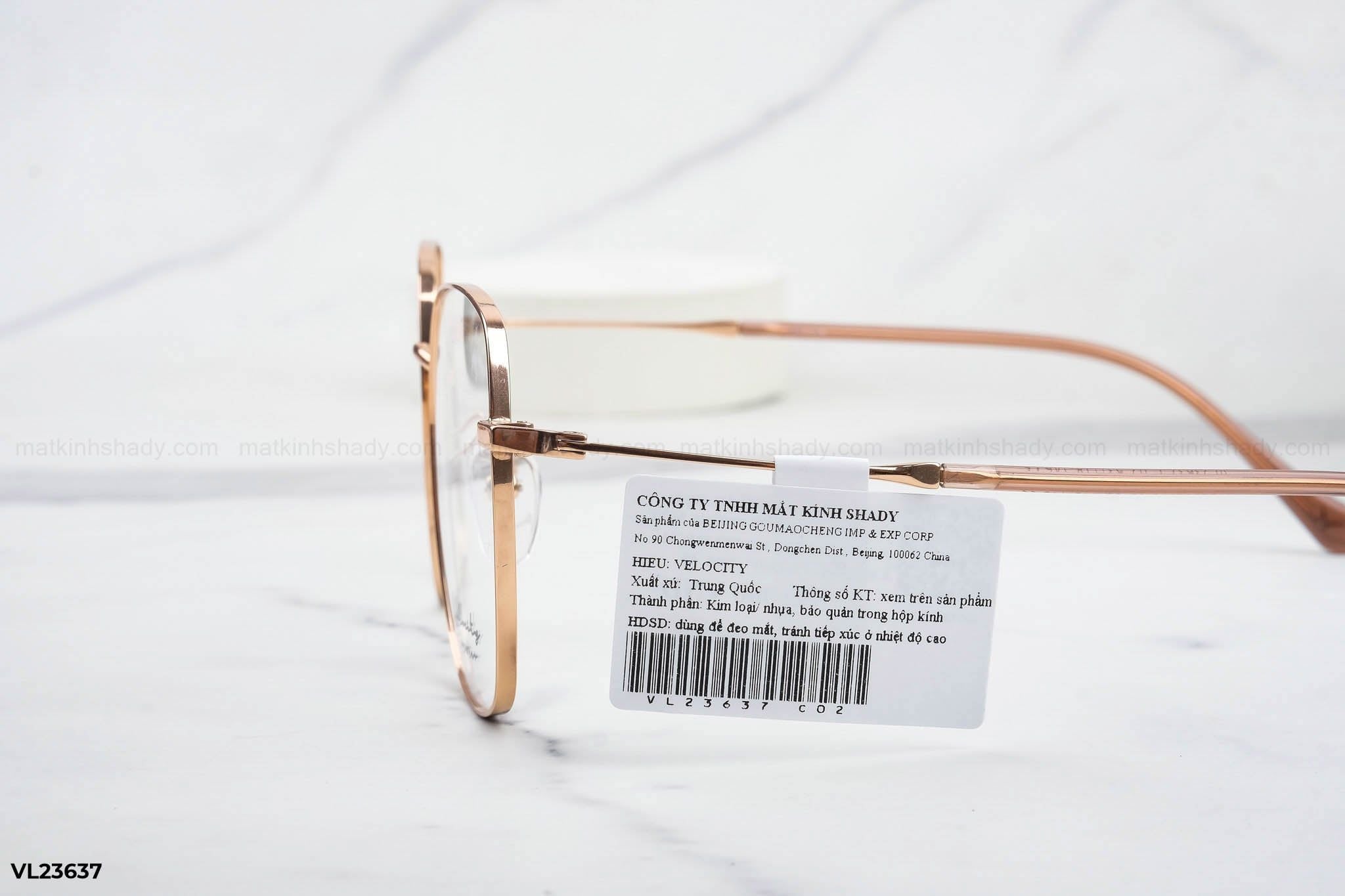  Velocity Eyewear - Glasses - VL23637 