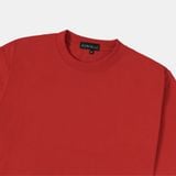  Áo Thun Boxy Cotton Form Regular ATN0175 