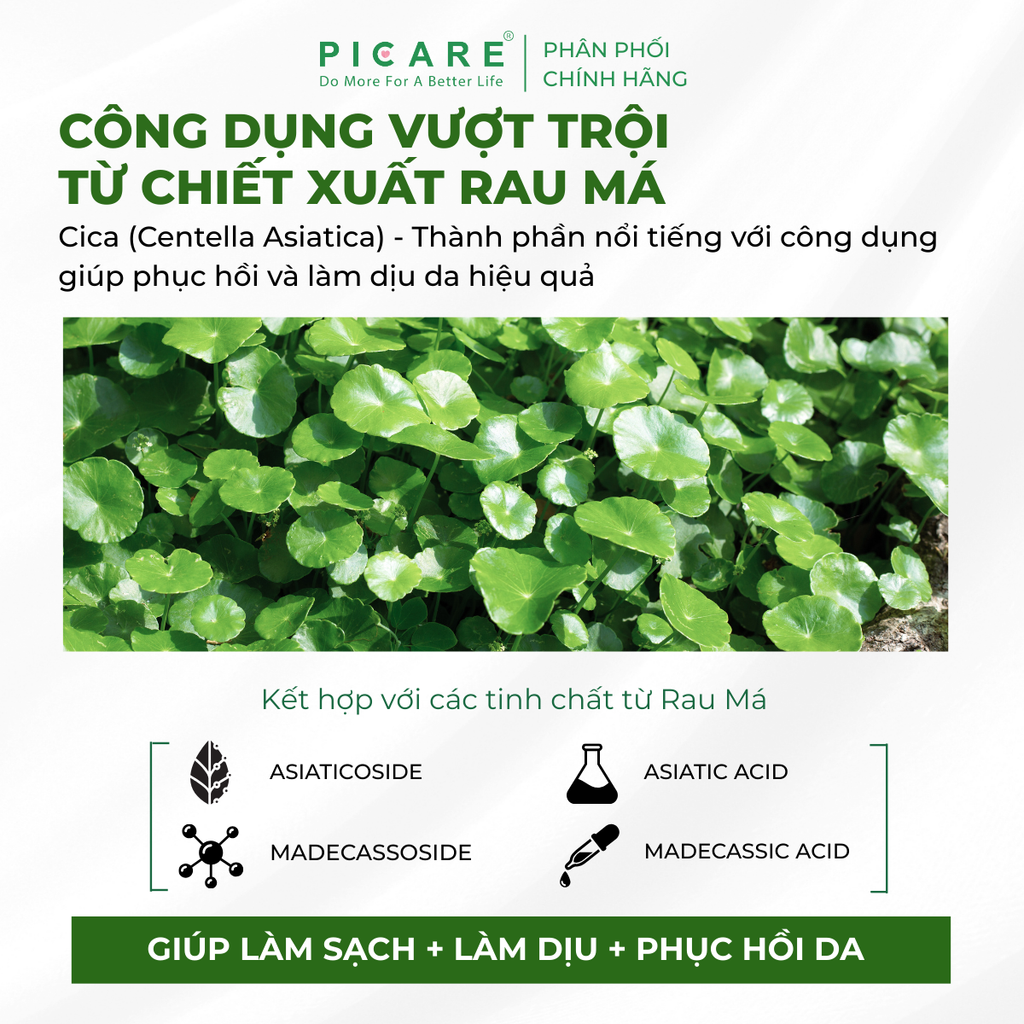 Sữa rửa mặt tạo bọt Rau má giúp làm sạch sâu và giảm bã nhờn Pax Moly Perfect Cica Foam Cleanser 100ml