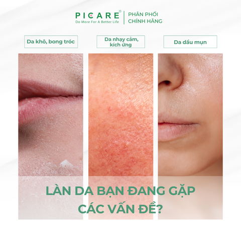 Kem dưỡng rau má giúp cấp ẩm sâu làm dịu và phục hồi cho da Pax Moly Centella Cica 5X Repair Cream 100g