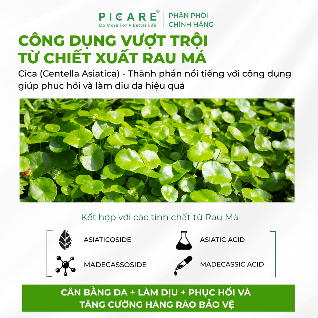 Nước hoa hồng rau má giúp làm dịu và dưỡng ẩm cho da Pax Moly Dr. JK MULTI Solution Vitamin Cica Toner 160ml