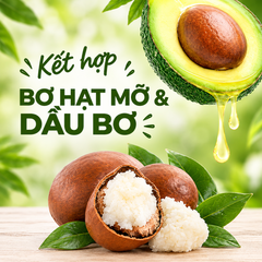 Son Dưỡng Môi 3 Trong 1 Le Petit Marseillais Với Chiết Xuất Bơ Hạt Mỡ Và Dầu Bơ 4.9g