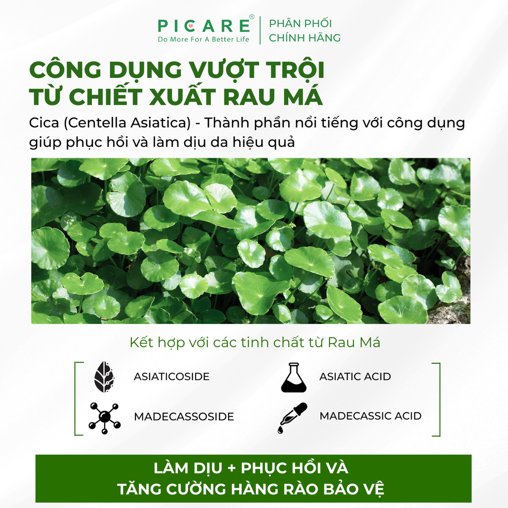 Tinh chất Rau má giúp làm dịu, dưỡng ẩm và hỗ trợ phục hồi da Pax Moly 5x Plus Cica Madeca Serum 30ml