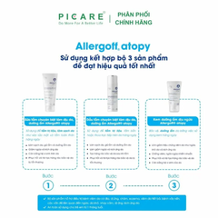 Sữa Tắm Chuyên Biệt Làm Dịu Da, Dưỡng Ẩm Allergoff Atopy 250ml