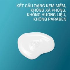 Sữa tắm dưỡng ẩm dành cho da khô, ngứa Cetaphil Pro AD Derma Wash 295ml