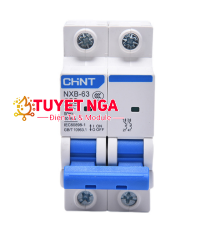 Chint NXB-63 MCB 2P 25A C25 CB Tép