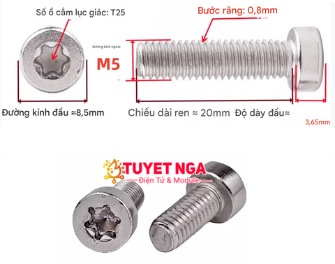 GB2671.1 M5x20 Bu Lông Ốc Hoa Mai M5 Dài 20mm Inox 304