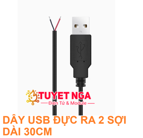 Dây Cáp USB Đực Ra 2 Sợi Dây Dài 30cm